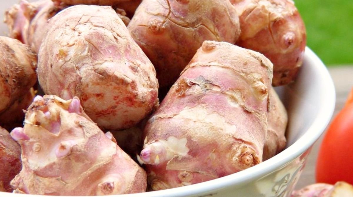 Topinambur: il tubero dimenticato che torna in cucina e fa la differenza su digestione e glicemia ma solo se lo cucini così